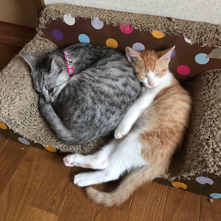 06a60f8b 84d6 4e66 b8d4 3d9ea38c0a85 1572926918026