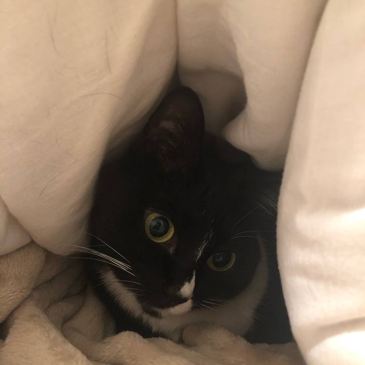 06a63a66 9dad 4432 966b 5e204ce507de 1545775824009