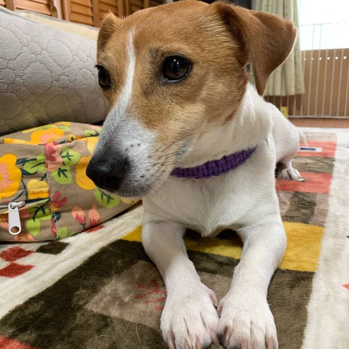 06a6529c cb0d 4c17 bc91 675c94eee503 1588939771005