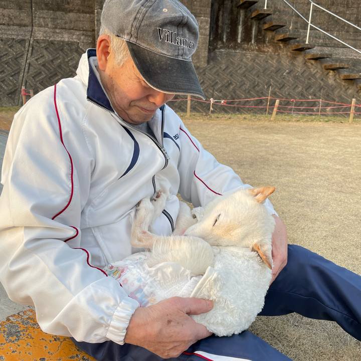 06a669b0 e041 49e8 85f7 374f08939451 1675515356028