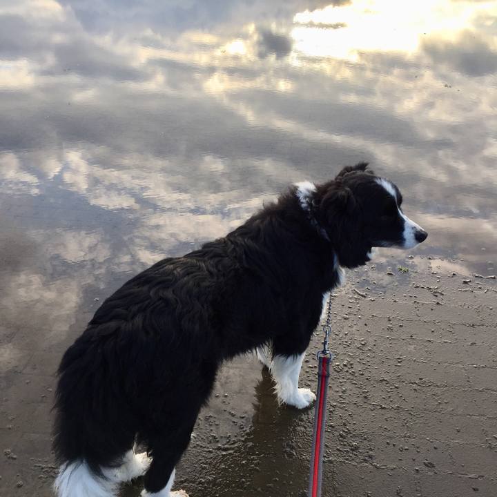 06a68916 f63b 4d70 86fb 20765d4ca8b0 1583622820133