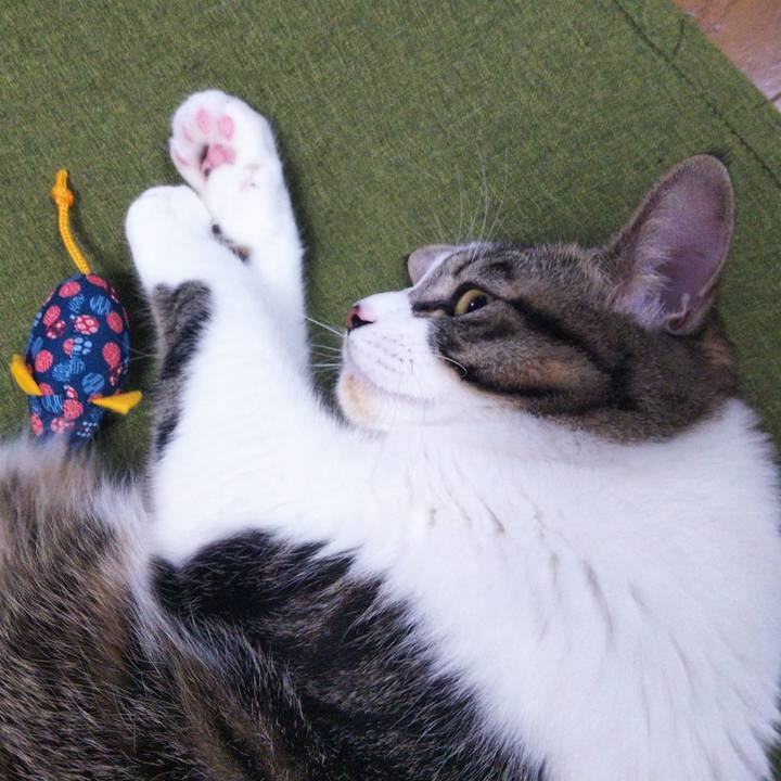 06a69607 5442 4b7c aba2 75343e905526 1637578906785