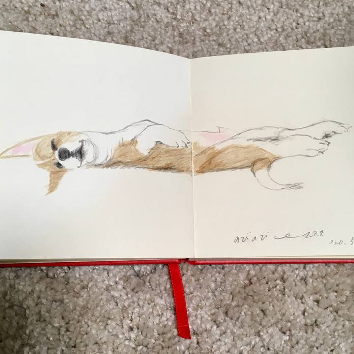 06a6d001 1b89 4e8a 8232 e01c1be1d913 1590773603864