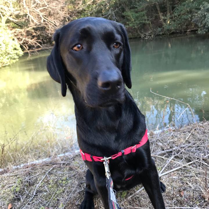 06a6e4c8 0c38 4d2f 864f 94b8f50b4e00 1518429625855