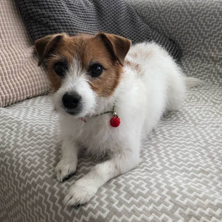 06a76a17 8309 4125 8e5c 82a6950ecd1b 1618233353195