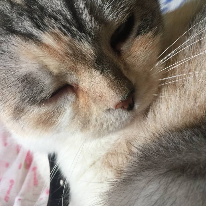 06a7753d e3e6 45fd 8f99 67c7cdc92faf 1549508265909