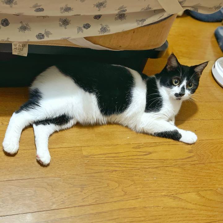 06a79f80 0580 4f0b b6e2 7f55eac875a2 1757544857309