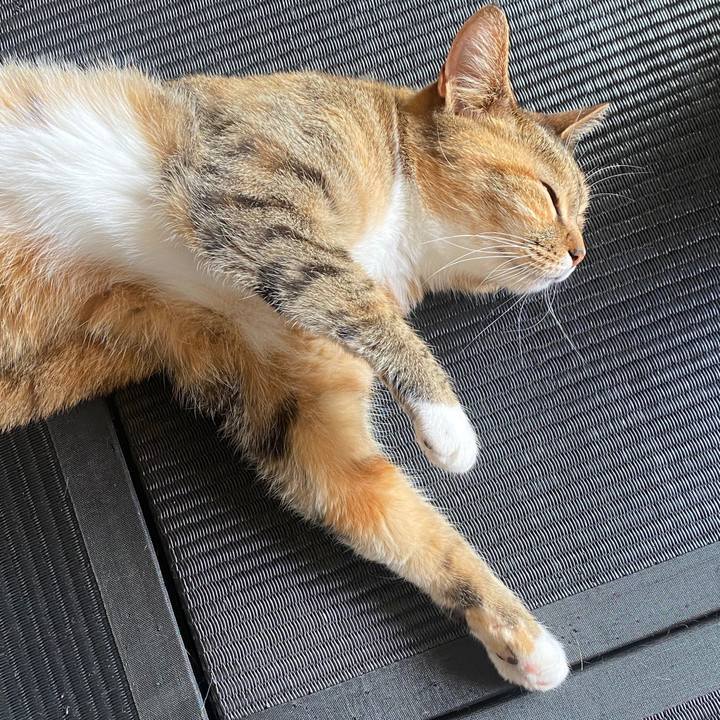 06a7ad76 89bd 48cd a780 81b5061134e1 1588646697515