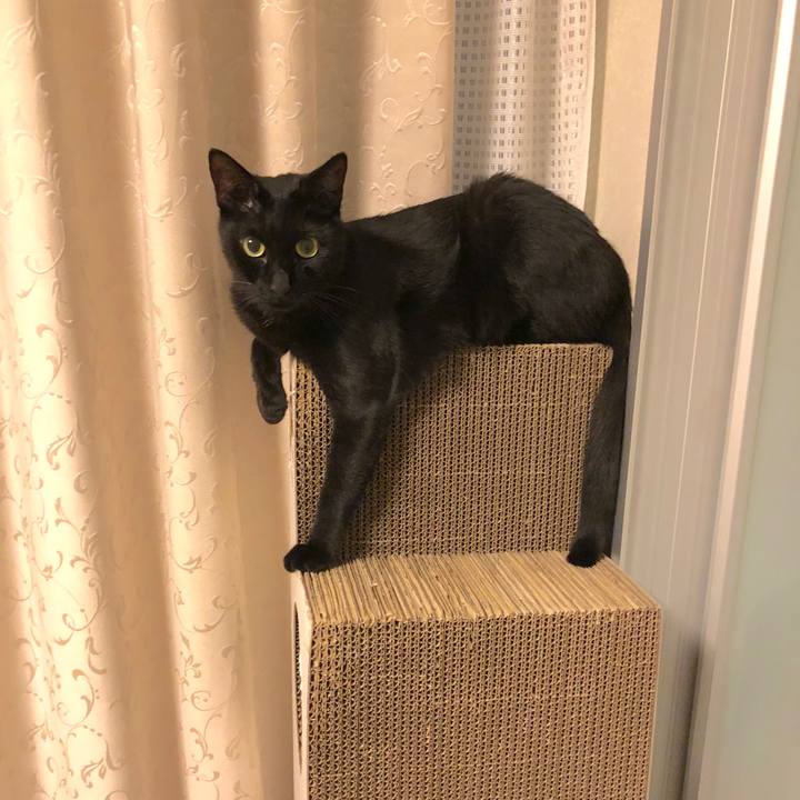 06a7ced9 760b 47ee a275 a527d7604cdf 1537532066747