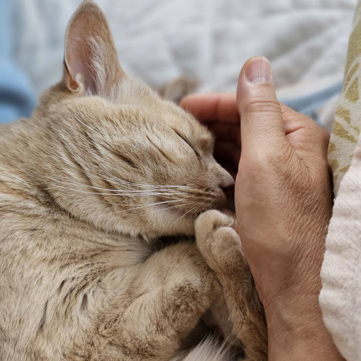 06a84103 9edd 4664 887d 09030f53ae4f 1693725183555