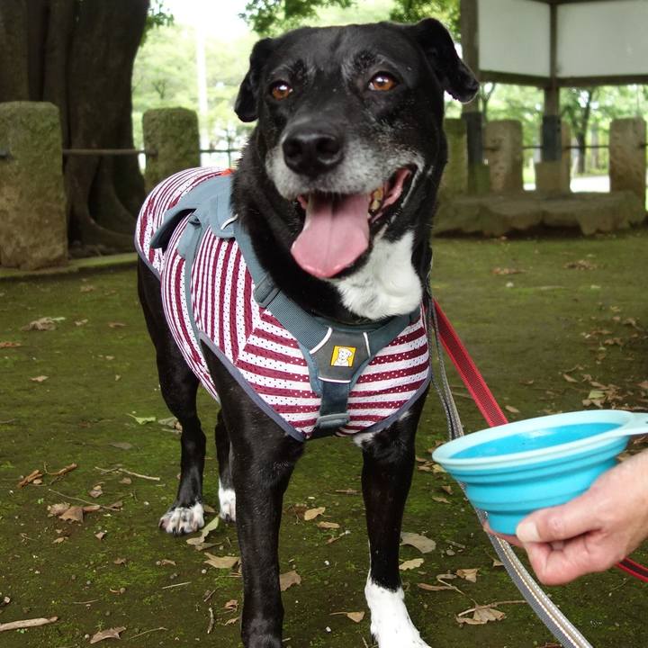 06a85a5c d316 4f7f 8d3a e5190488ba03 1719275286643