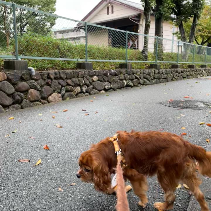 06a85bf4 750c 40c2 bc3a 4f0d73f98318 1665365084249