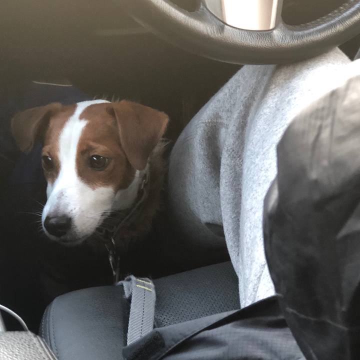 06a86896 ece7 44e5 9138 83b3d3e1c16e 1583137804993