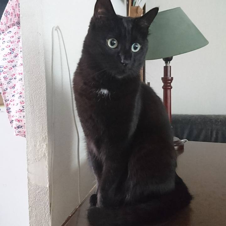 06a86be3 cd1a 47b8 94b9 1ebe6f1cbd7b 1566179765961