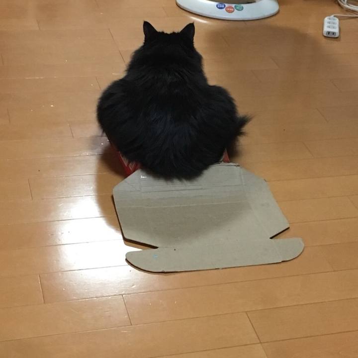 06a8754d 8676 4aef 812c e34c830193b3 1543177361246