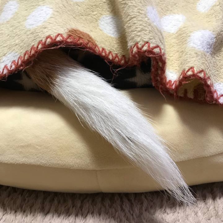 06a880df aff9 4b3e b5e0 cb8171af299f 1552309210531