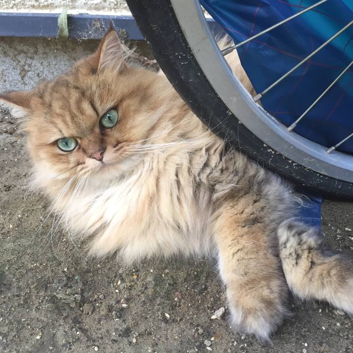 06a8dd1a 4232 4851 b1ad 1bd6fae56286 1536975740787