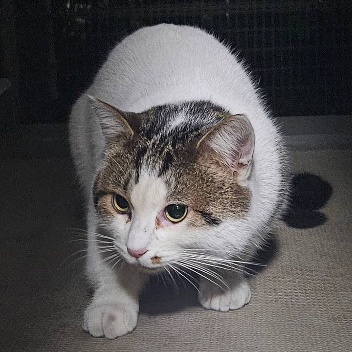 06a8eeac a01c 43e4 aaca ca04e6e4c3e8 1735821467243