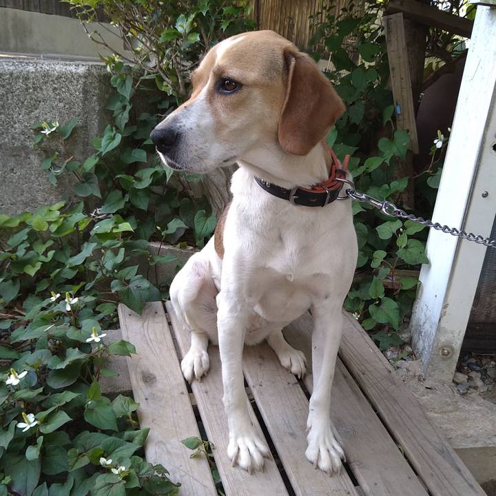 06a8ff9d 2b68 41b5 ad59 69a3faea8ed3 1622298151729