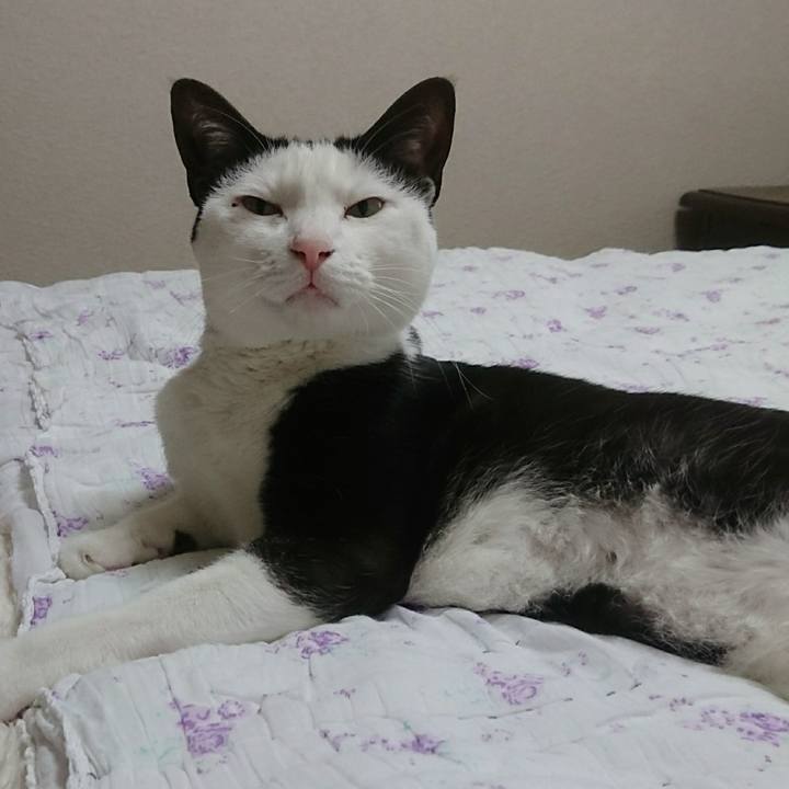 06a9083e 3112 438d b802 9b98f27492bb 1516323844883