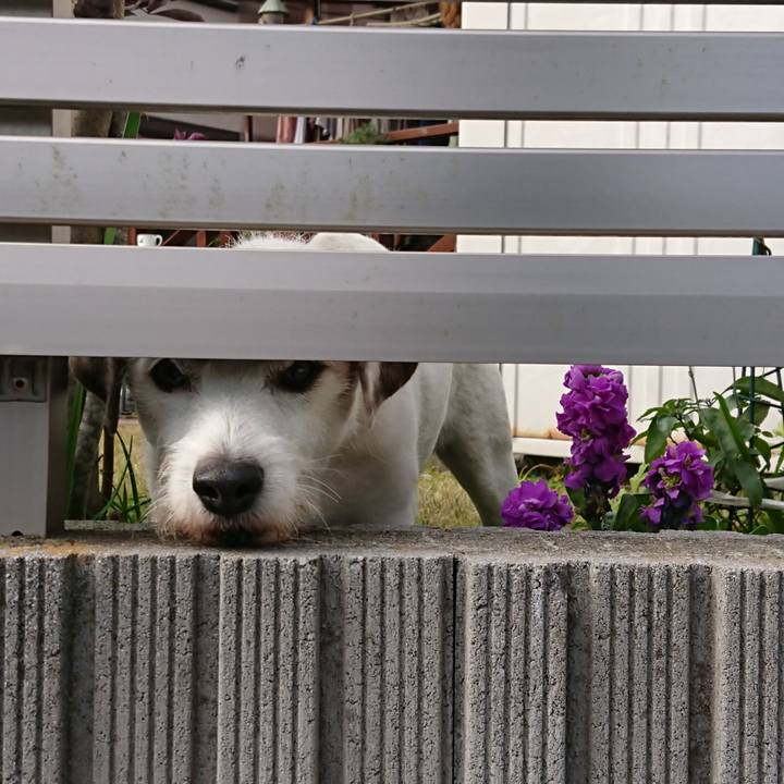 06a92f8f efc7 4475 9a17 2ff9fe7edb7a 1578267683521