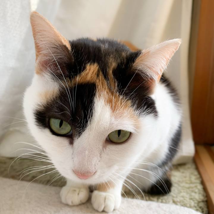 06a9326c d489 4e54 9884 7b9235ae3e66 1578101533929