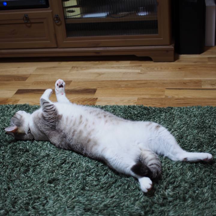 06a93ab5 8fac 4bd7 a629 b0f0c008d2e1 1591713618735