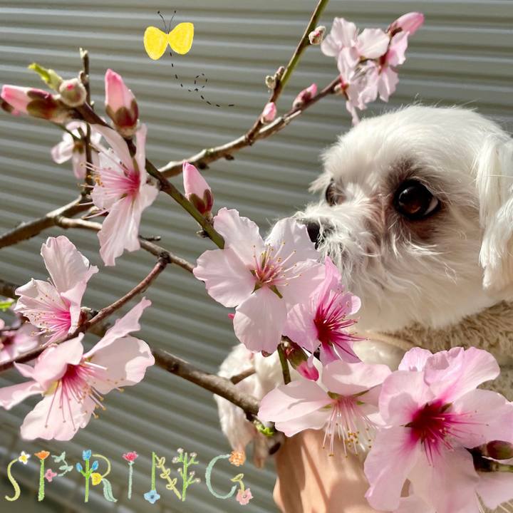 06a95d71 c578 4ecb 8a70 84ec521ecd7a 1648187959597