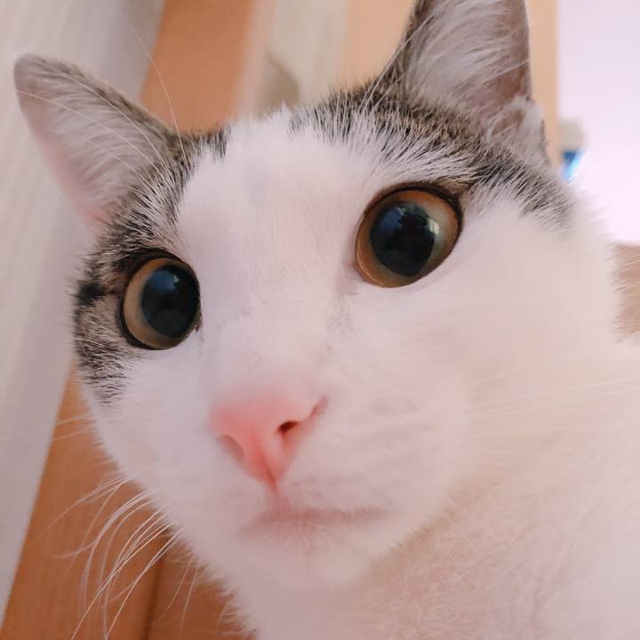 06a97fc0 a00a 492b afd8 f3a924cd0a2f 1584658428159