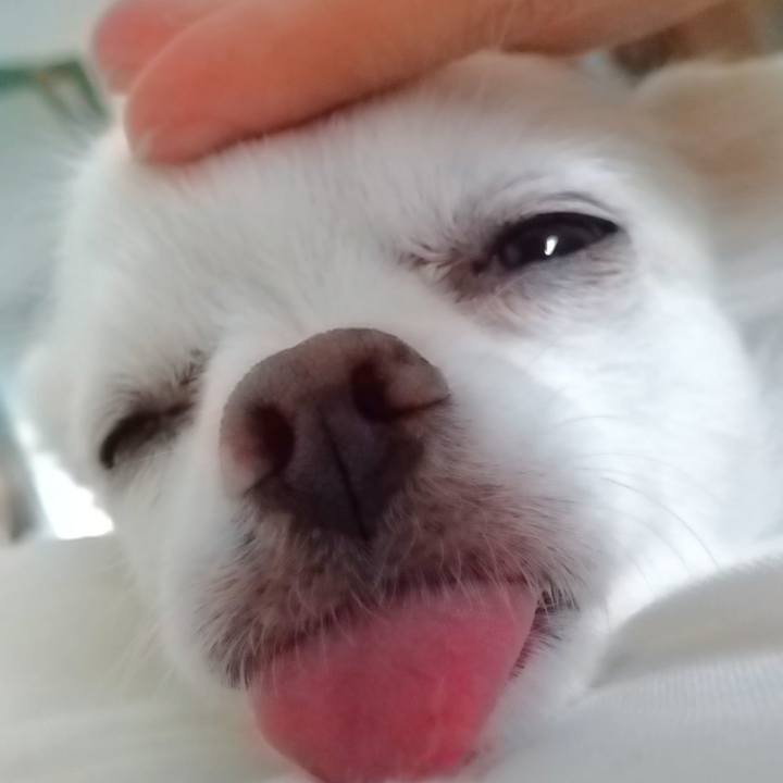 06a9e1e6 22ea 43b9 90f8 e9cdbe81fdb8 1595483154220