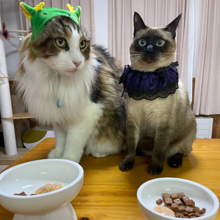 06aa053f f835 4dbb bab4 1f8ac29092c7 1730407676521