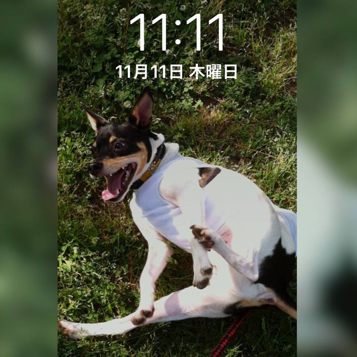 06aa14f8 2dc7 4c34 b15e 1066f23c91e5 1636596852530