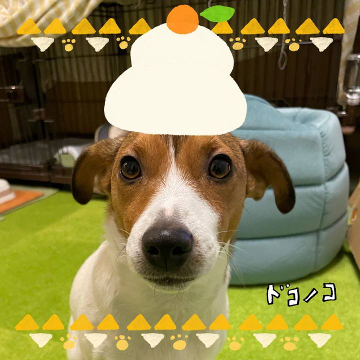 06aa5372 0757 49c2 8c9b ea6eef546c01 1704096709460