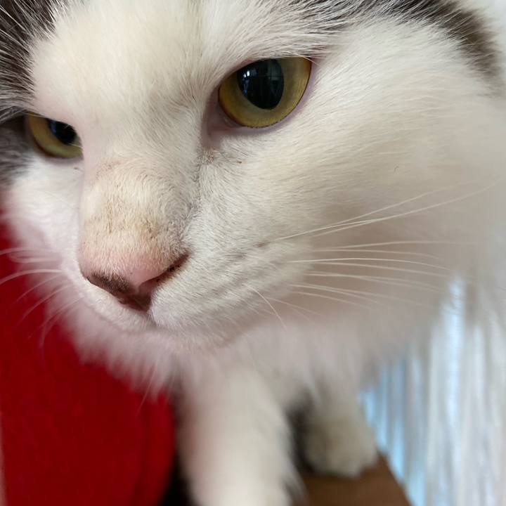 06aaca64 cb6a 4e51 84e0 c864f41f1f7b 1706249285099