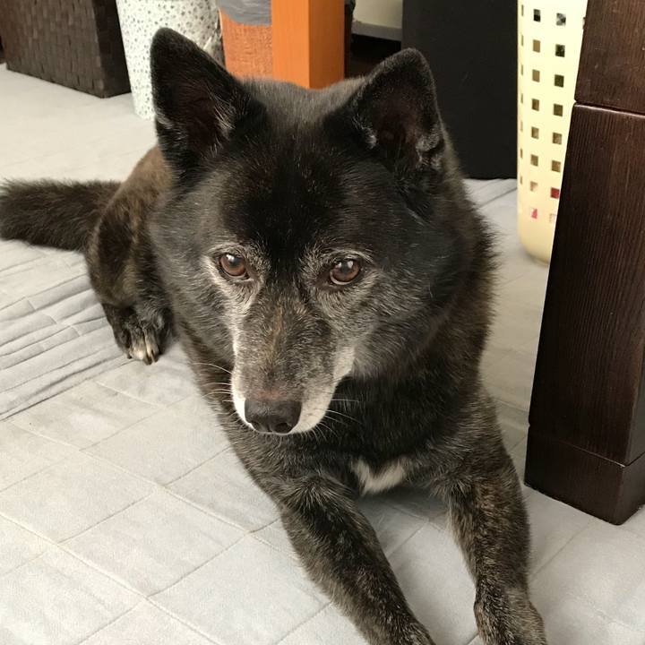 06aaccc9 c384 43d5 8191 2675e98e7e90 1536848617883