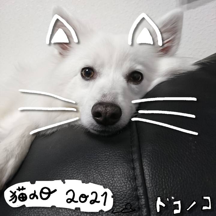 06aad82c 83ab 4b2e b637 35ed1a741453 1613999367351