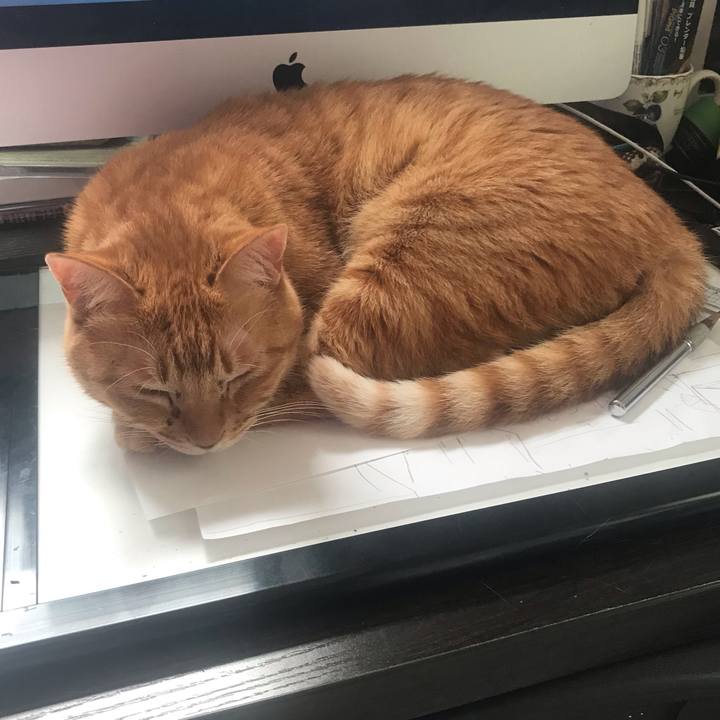 06aae053 14cf 4eed 81b7 c8340f8853c9 1559614224865