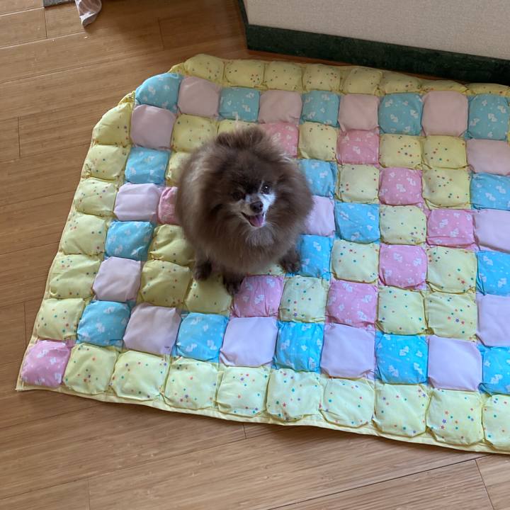 06aaf205 87ab 4912 aacd 1eb1b65799c7 1721854073205