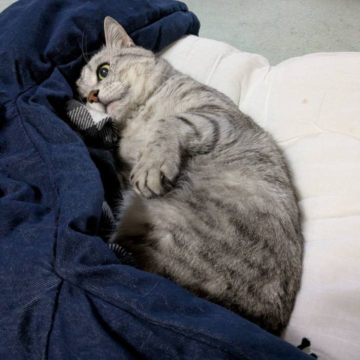 06ab2c89 fccb 4a78 ba58 e5b37083a845 1774179748526