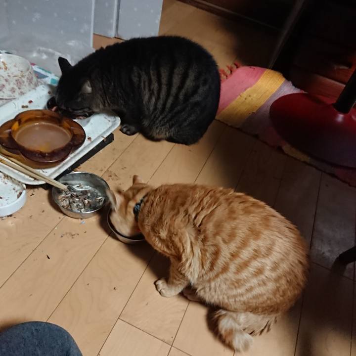 06ab54d5 24e2 41b9 94f0 a3409e39432c 1638132717742