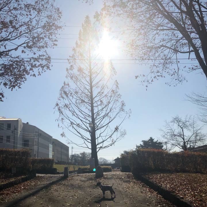 06ab7ccc da9f 4fe5 8a26 e3496885c939 1575877358947