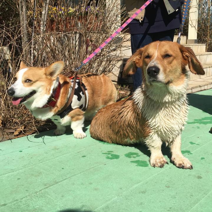 06ab8743 9396 49d0 b50e f5a1d22fcbcc 1614510822808