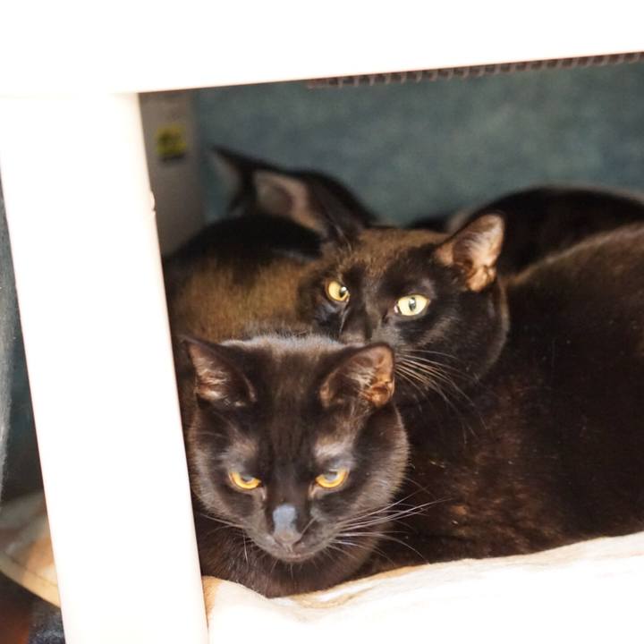 06ac0335 e652 4788 a83c e02093530491 1550015397652