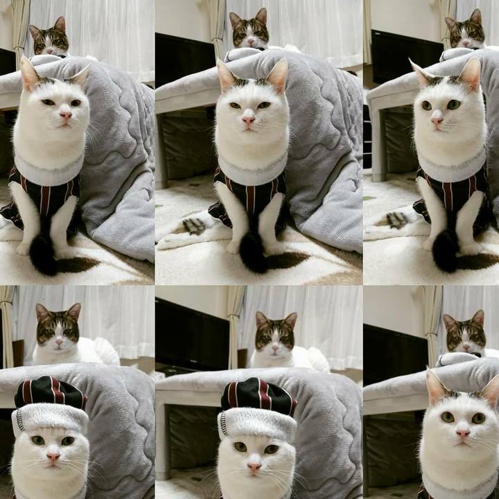 06ac1f05 4fb1 4e68 baf4 b5305c4f95cf 1544920355036