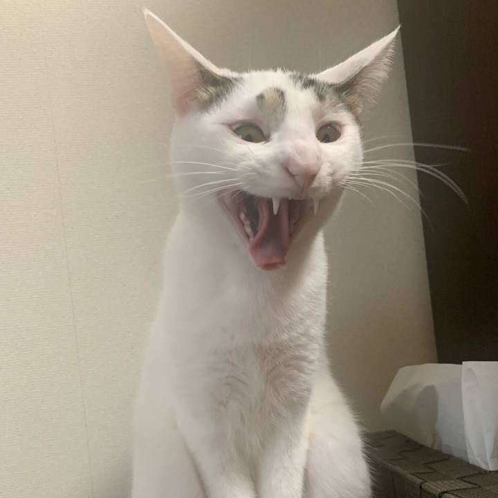 06ac2287 5d92 410c 887f d14570955f4f 1611974117921