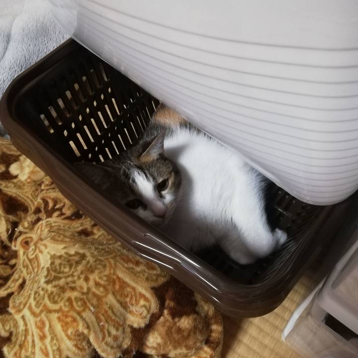 06ac32f3 d532 456b b507 e61d62cef07b 1687300394465