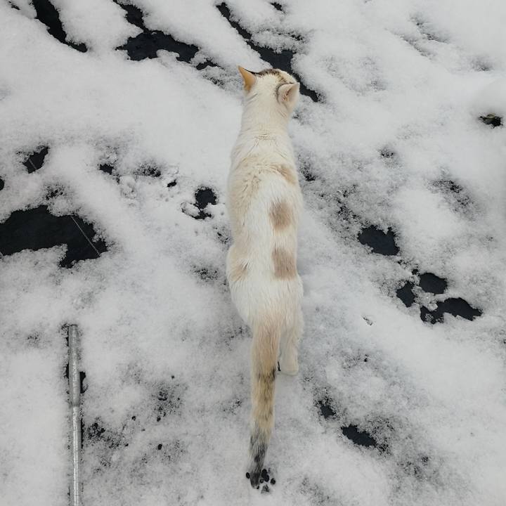 06ac88de b7c6 400c 9045 bb81a9931186 1770555756799