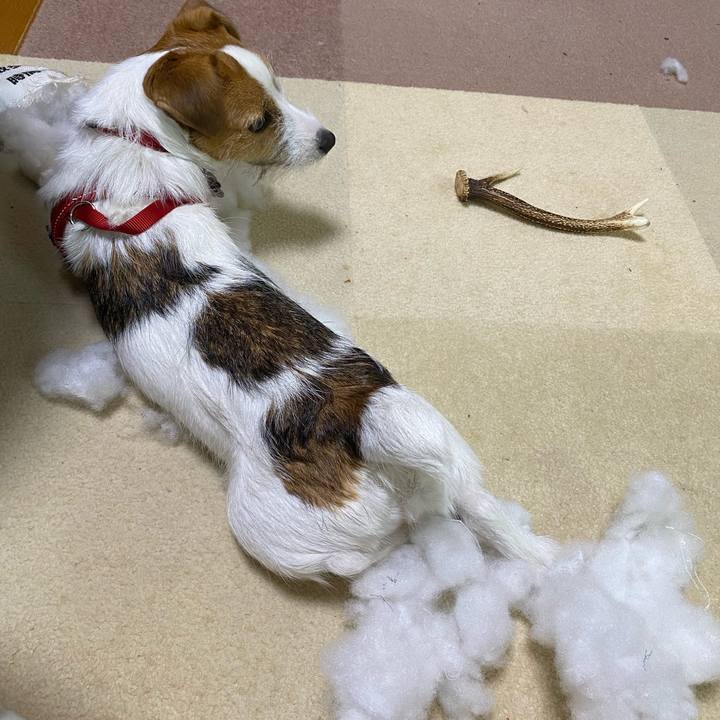 06acc602 b686 443b 898f 98296ff68569 1623587365440