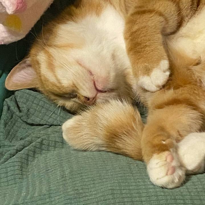 06acd294 e482 4beb 9ca9 53518b66fcdb 1622719694136