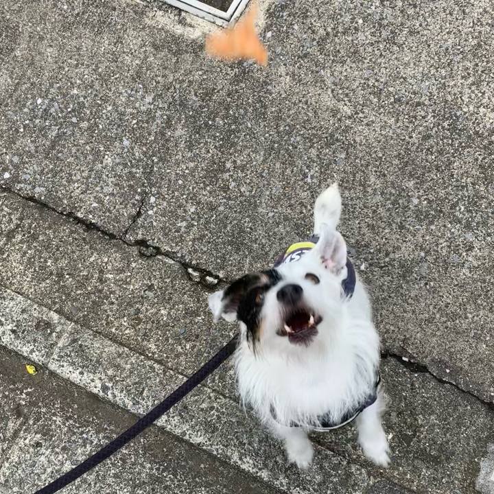 06ad143e 8848 4355 ba13 b70e47164222 1685432066446